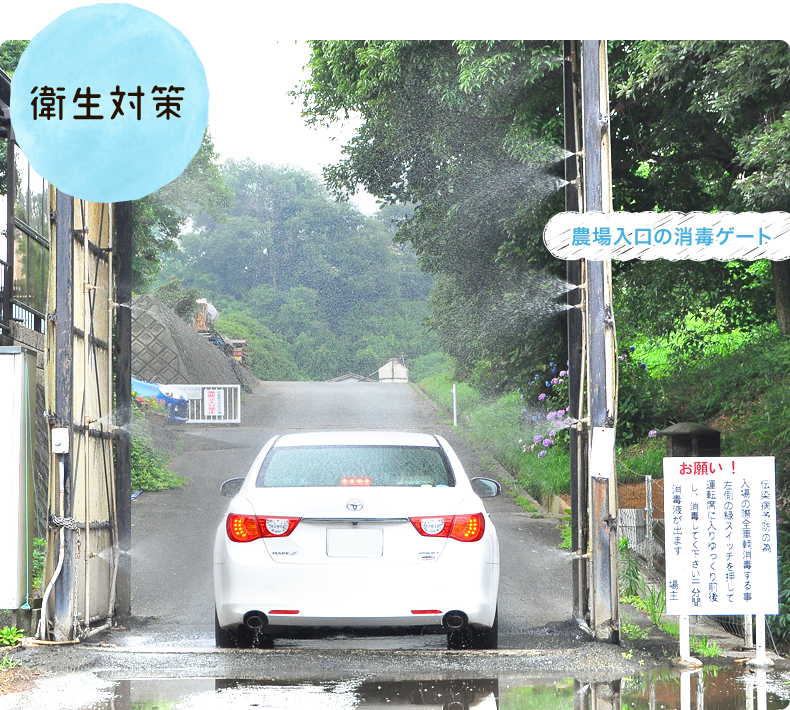 衛生対策 農場入口の消毒ゲート