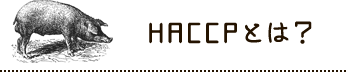 HACCPとは？